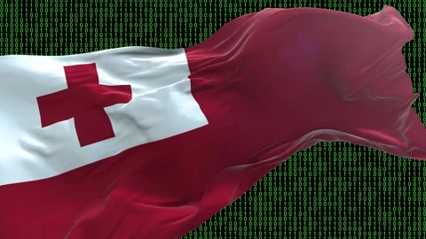 Tonga flag - Waving flag on matrix binary code background Stock Footage 321421950