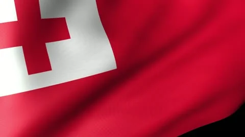 Tonga Flag Waving Stock-Footage 12230259