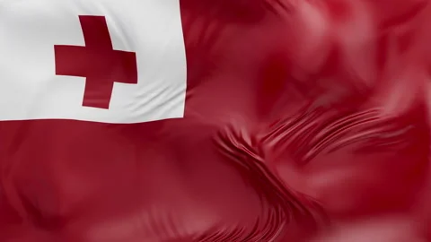 Tonga flag waving Seamless silk flag 3d animation slow motion Looping Vídeo Stock 337773114