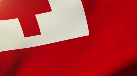 Tonga flag waving in the wind. Looping sun rises style.  Animation loop 스톡 동영상 48599045