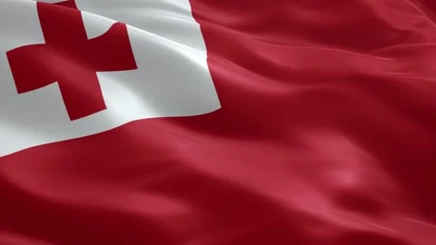 Tonga National Flag Waving in Wind Realistic Fabric Texture Background Stock Footage 334629111