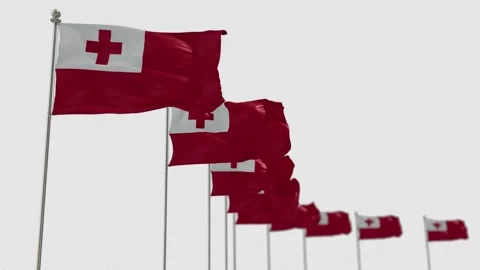 Tonga Row Of Flags Animation Include Alpha Channel  Stock Footage 163540395
