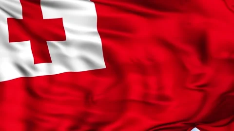 Tonga Waving Flag Background Stock Footage 204137973