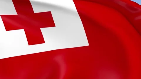 Tonga Waving Flag Background Loop Stock Footage 317845744