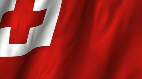 Tonga Waving Flag Stock Footage 12364869