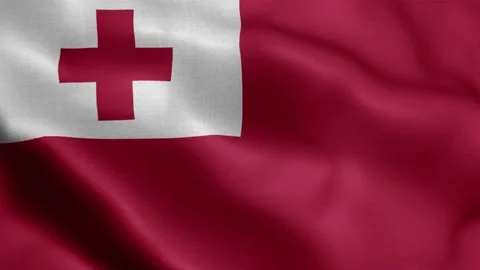 Tonga waving flag texture realistic Stock Footage 143181472