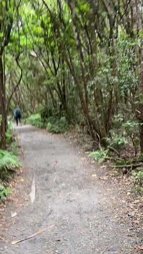 Tongariro Alpine Crossing Видео 344173319
