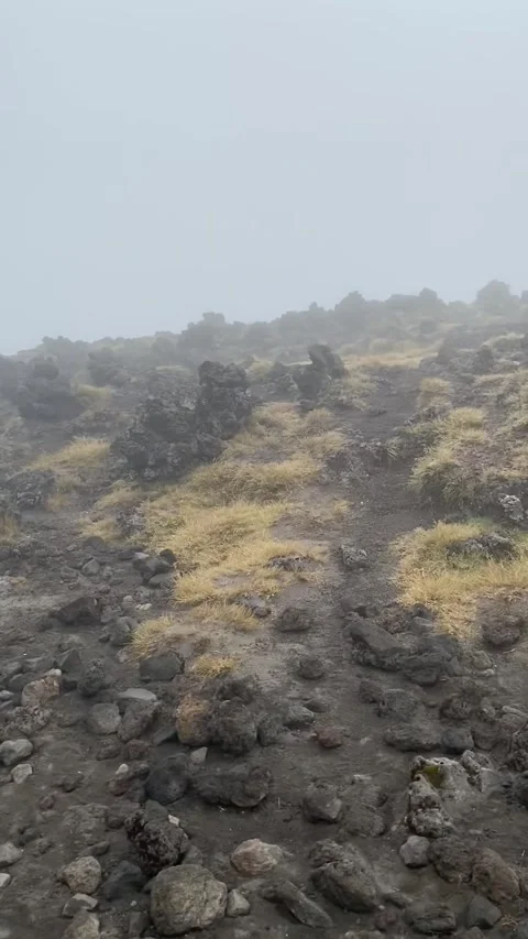 Tongariro Alpine Crossing 스톡 동영상 344173349