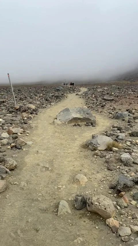 Tongariro Alpine Crossing 库存影片 344173481