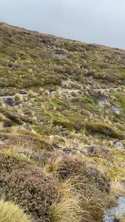 Tongariro Alpine Crossing Stockbeeldmateriaal 344173592