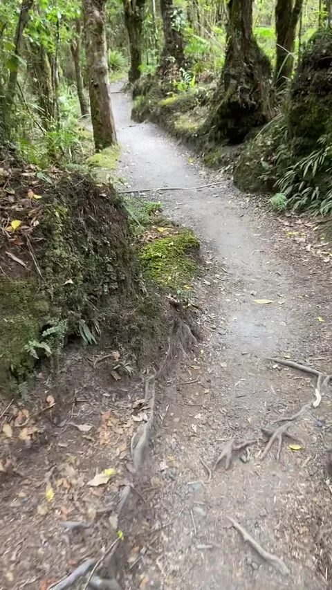 Tongariro Alpine Crossing Stockbeeldmateriaal 344173661