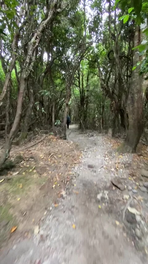 Tongariro Alpine Crossing Видео 344173663