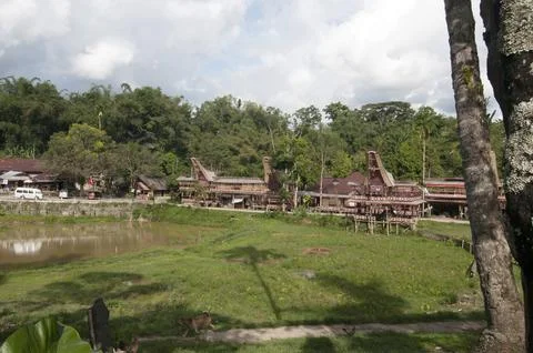 Tongkonan 写真素材