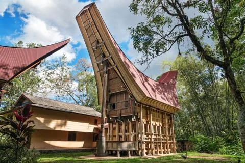 Tongkonan traditional rice barns Stock Photos
