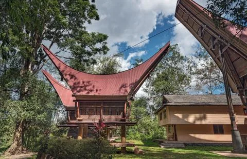 Tongkonan traditional rice barns Foto stock