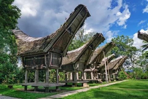 Tongkonan traditional rice barns Stock-Fotos