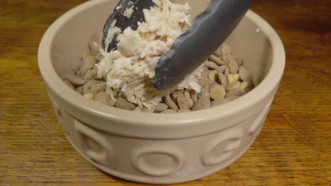Tongs adding leftover cooked chicken to dog kibble in a bowl. Stock-Footage 295125137