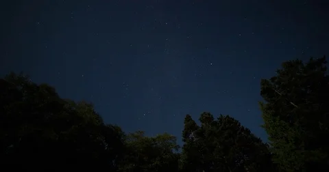 Tongue Point, WA USA - treetops with starry sky - Timelapse Stock Footage