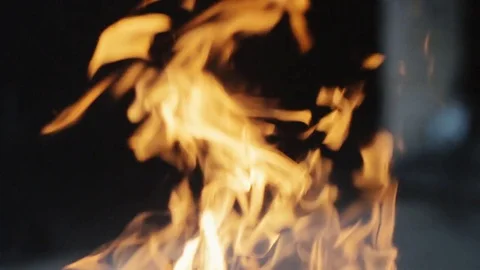 Tongues of flame on nature Stock Footage 71213151