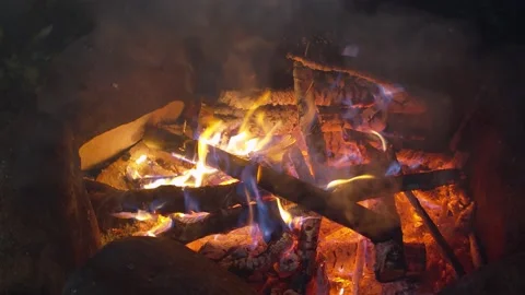 Tongues of flame in a night fire Stock Footage 130865469