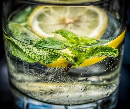 Tonic in a Glass Stock Photos