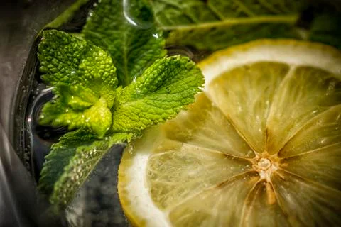 Tonic in a Glass Stock Photos