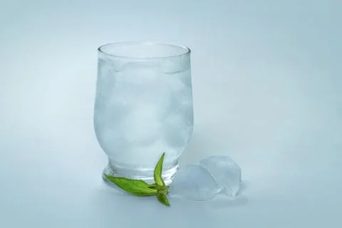 Tonic with ice and mint Stock Photos