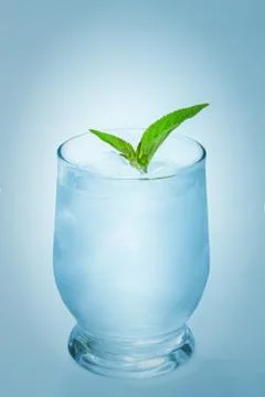 Tonic with ice and mint Stock Photos