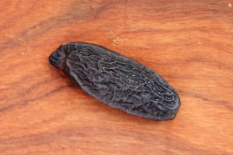 Tonka bean Stock Photos