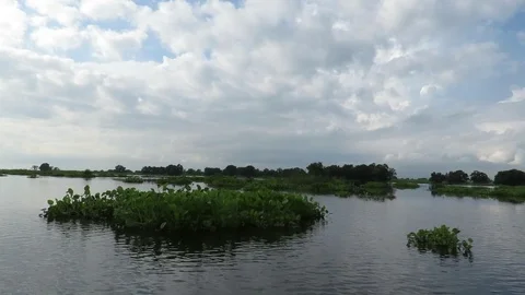 Tonle Sap Lake Stock Footage 87643416
