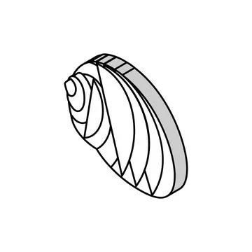 Tonna sea shell beach isometric icon vector illustration Stock Illustration