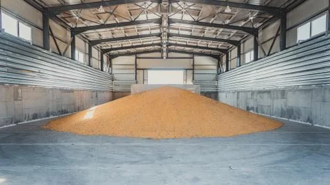 Tons of corn in warehouse structure Stock Photos