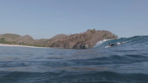 Tons of fish under a breaking wave that a surfer trying to ride Stockbeeldmateriaal 106218729