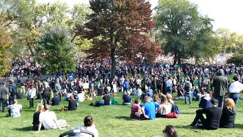 Tons of persons in park Stock Footage 119863806