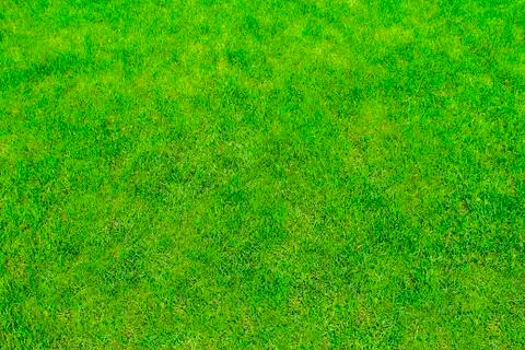Tonsure lawn Stock Photos
