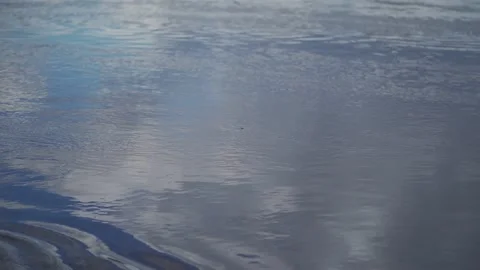 Too many shiny reflections of the sun in the water. It's a close-up shot of the Stock Footage 130667602