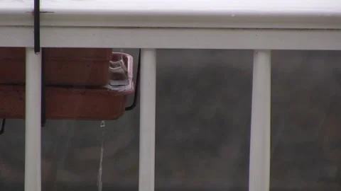 TOO MUCH WATER IN A FLOWERPOT WHILE RAINING Stock Footage 94759669