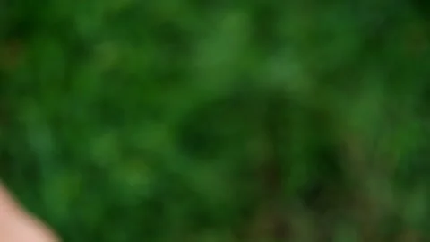 Took a bite of the ice cream on a stick, popsicle Stock Footage 280580969