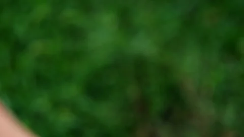 Took a bite of the ice cream on a stick, popsicle Stock Footage 280581413