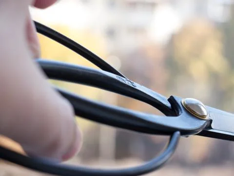 A tool for bonsai. 스톡 사진