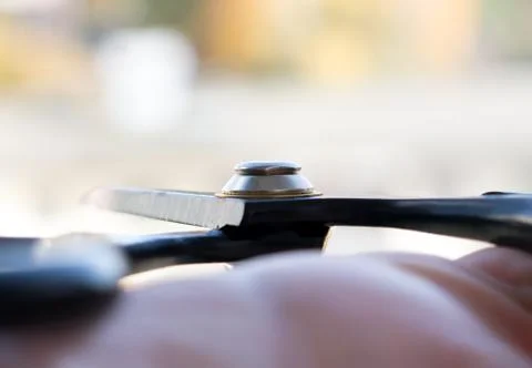 A tool for bonsai. Fotos de archivo