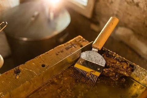 Tool for opening bee frames Stock Photos