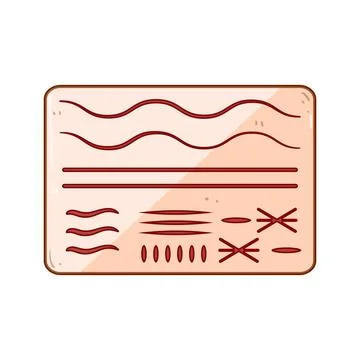 Tool suture practice pad cartoon vector illustration Stock Illustration