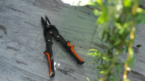 Tool For Trimming Plants. Stock Footage 65416906