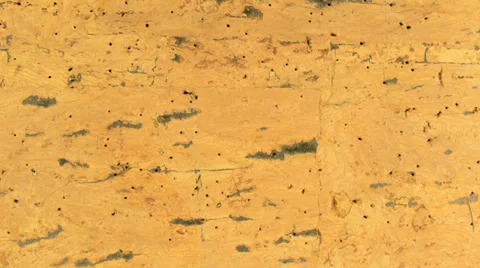 Tool at the wall Stock Footage 32659857