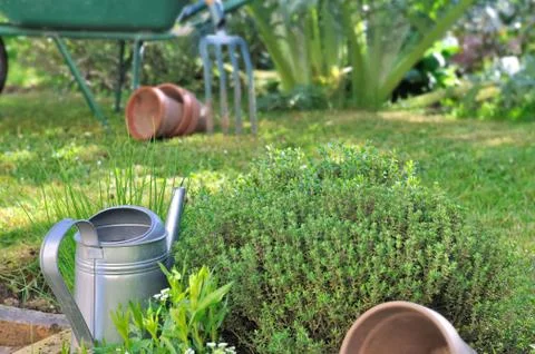 Tools and aromatic herbs Stock Photos