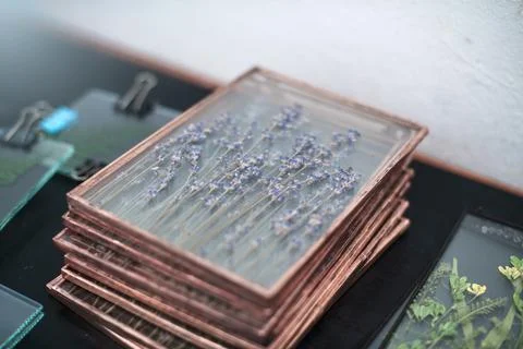 Tools and materials for making postcards and paintings from dried plants Stock Photos