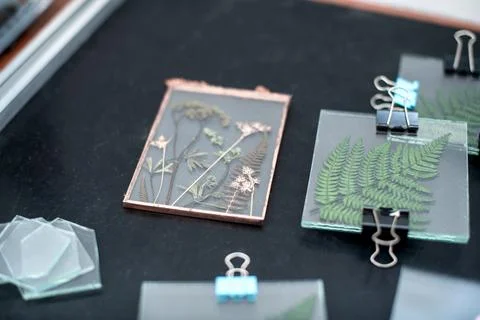 Tools and materials for making postcards and paintings from dried plants Stock Photos