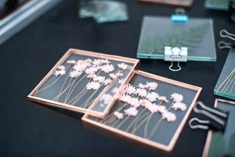 Tools and materials for making postcards and paintings from dried plants Stock Photos