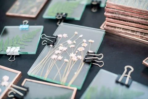 Tools and materials for making postcards and paintings from dried plants Stock Photos